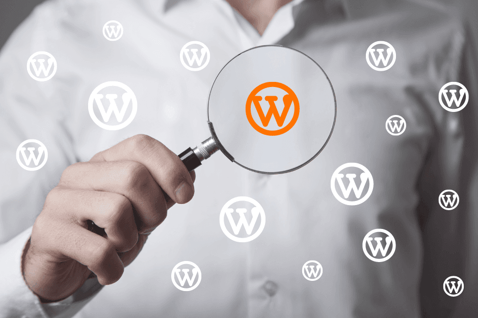 Waarop letten bij WordPress hosting
